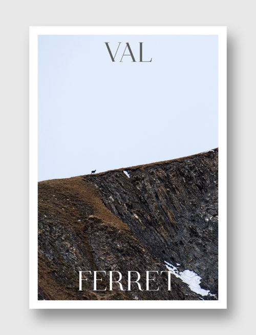 Face Montagne - Chamois dans le Val Ferret
