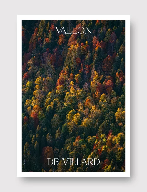 Face Montagne - Vallon de Villard