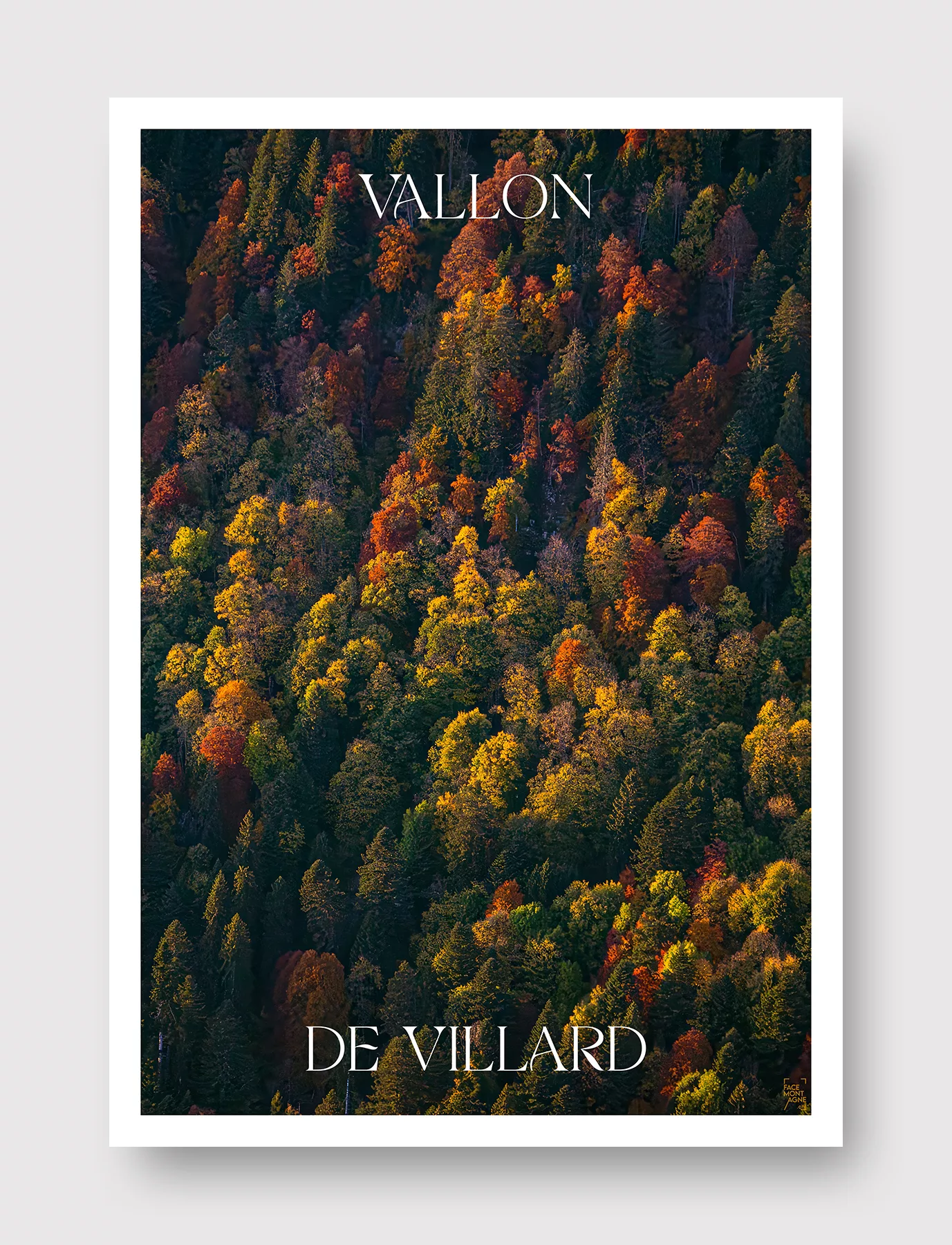 Face Montagne - Vallon de Villard