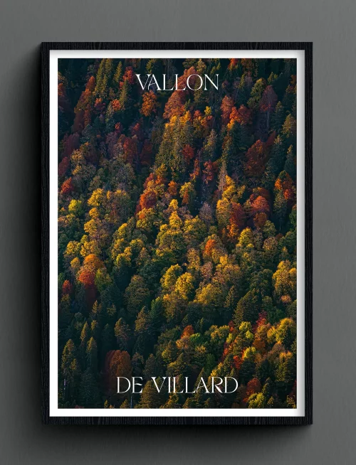 Face Montagne - Vallon de Villard