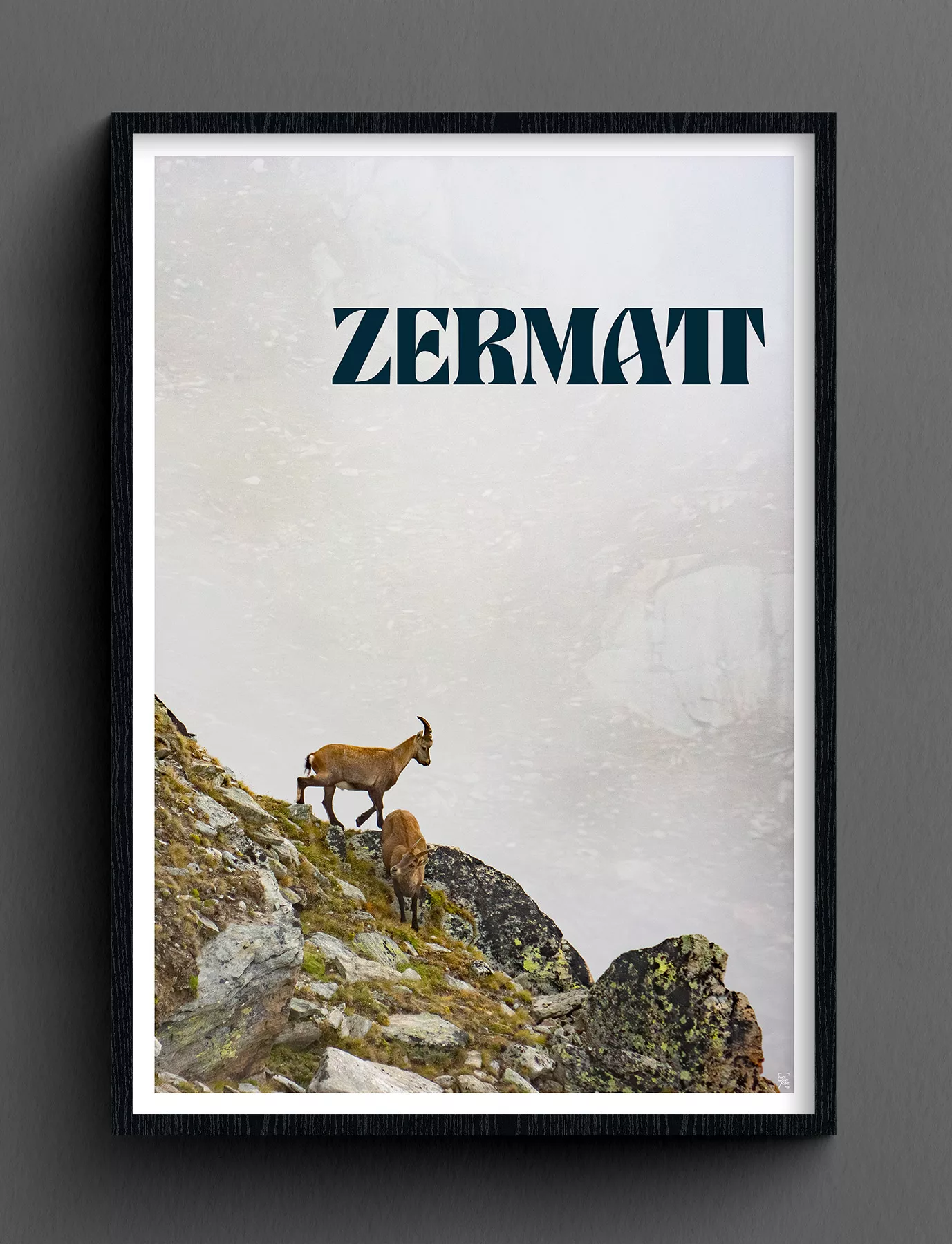 Face Montagne - Zermatt