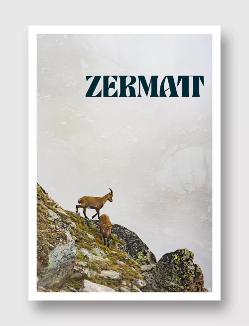 Face Montagne - Zermatt