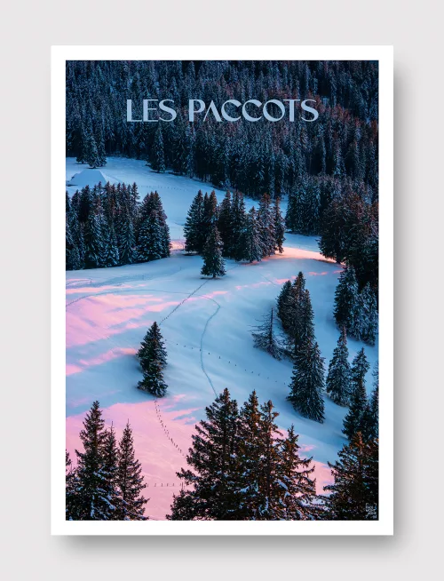 Face Montagne - Les Paccots