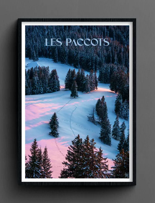 Face Montagne - Les Paccots