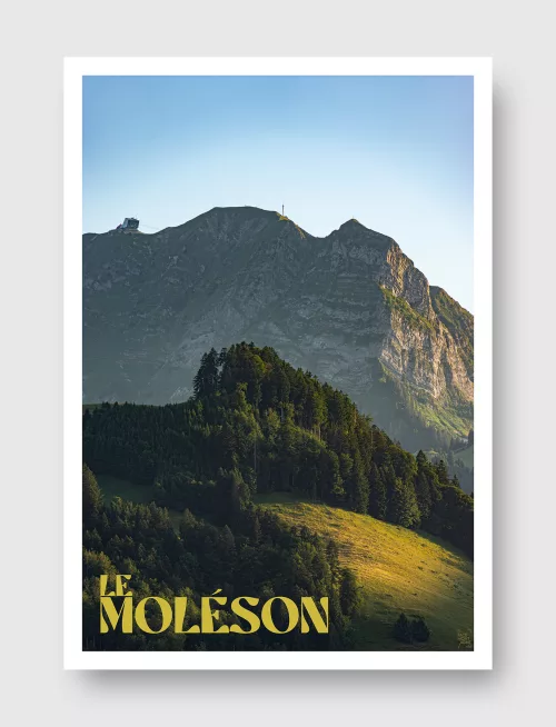 Face Montagne - Le Moléson