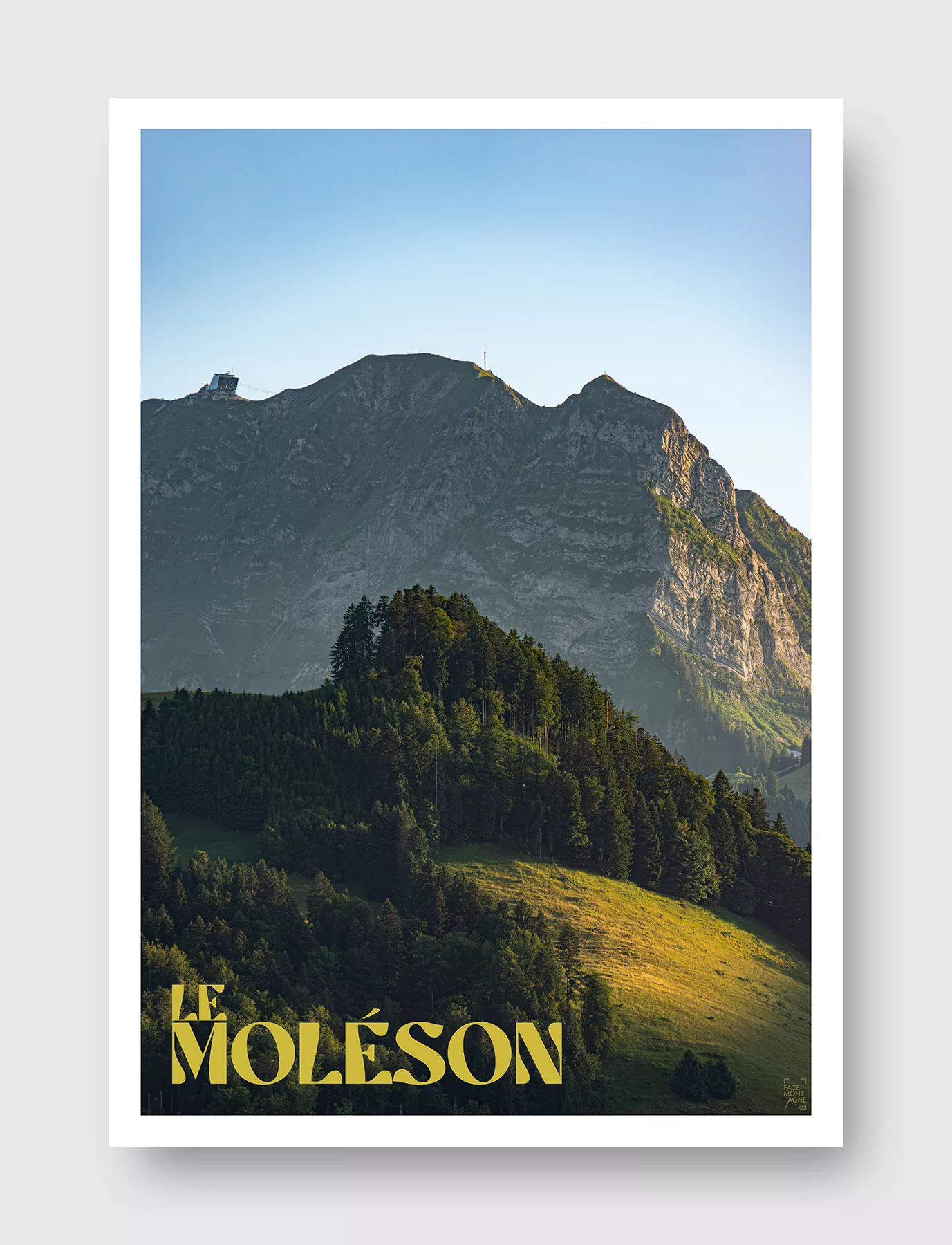 Face Montagne - Le Moléson