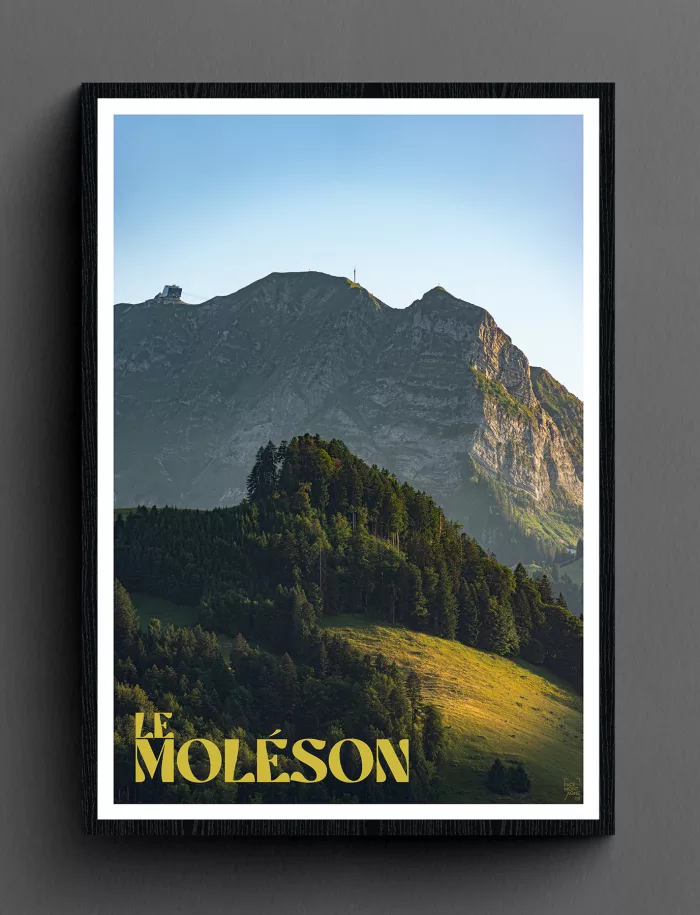 Face Montagne - Le Moléson