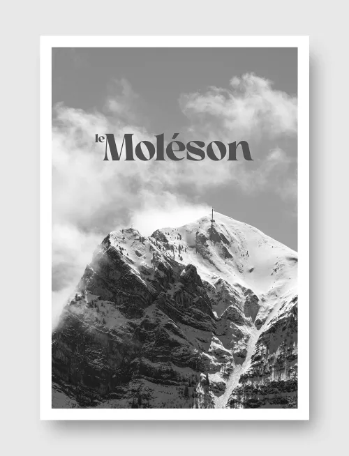 Face Montagne - Moléson