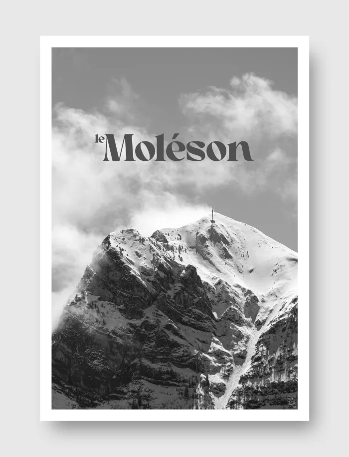 Face Montagne - Moléson