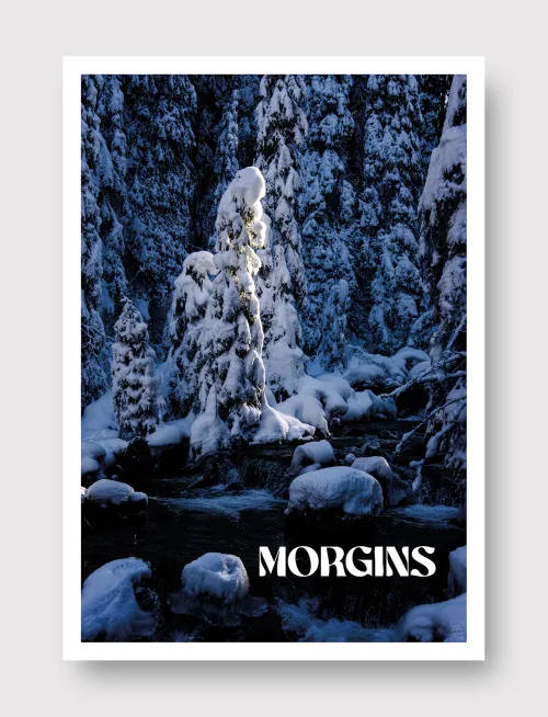 Face Montagne - Morgins