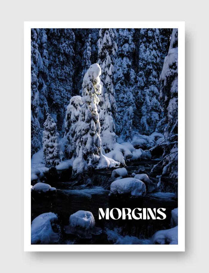 Face Montagne - Morgins