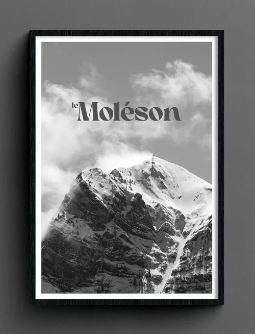 Face Montagne - Moléson