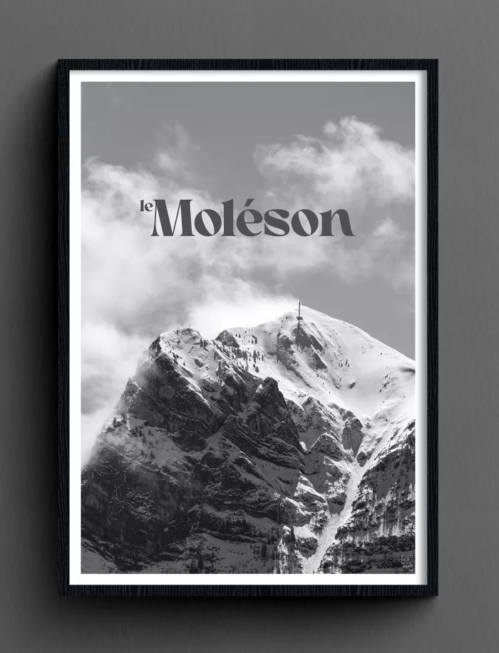 Face Montagne - Moléson