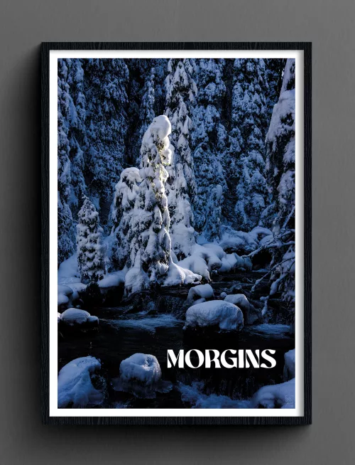 Face Montagne - Morgins