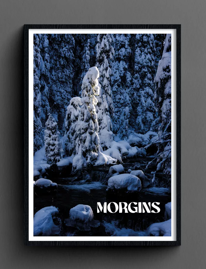 Face Montagne - Morgins