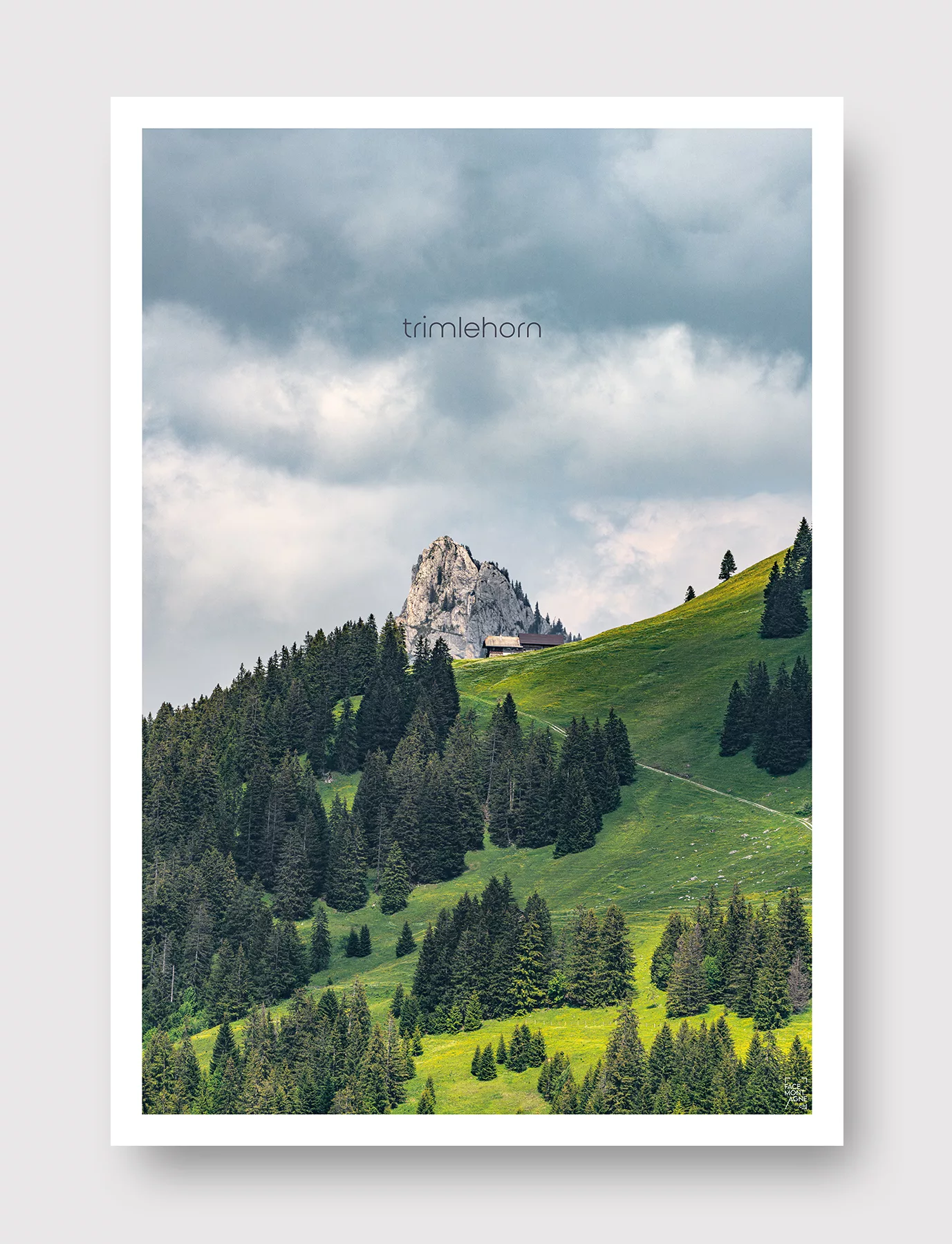 Face Montagne - Trimlehorn