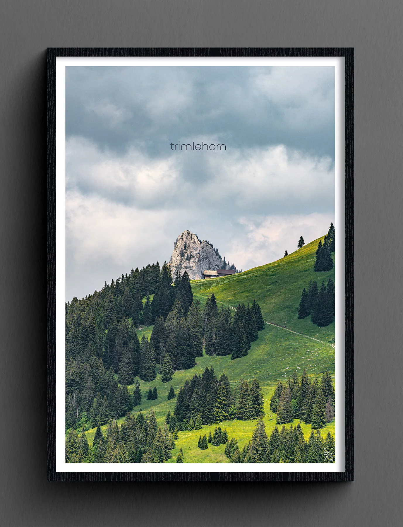 Face Montagne - Trimlehorn