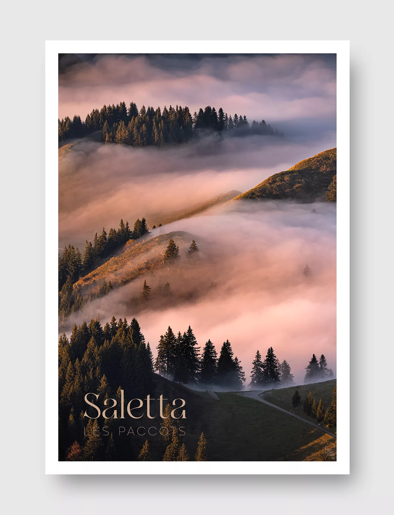 Face Montagne - Saletta, Les Paccots