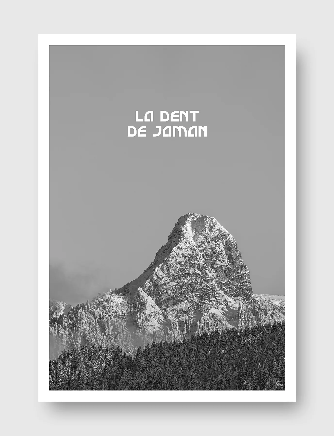 Face Montagne - La Dent de Jaman