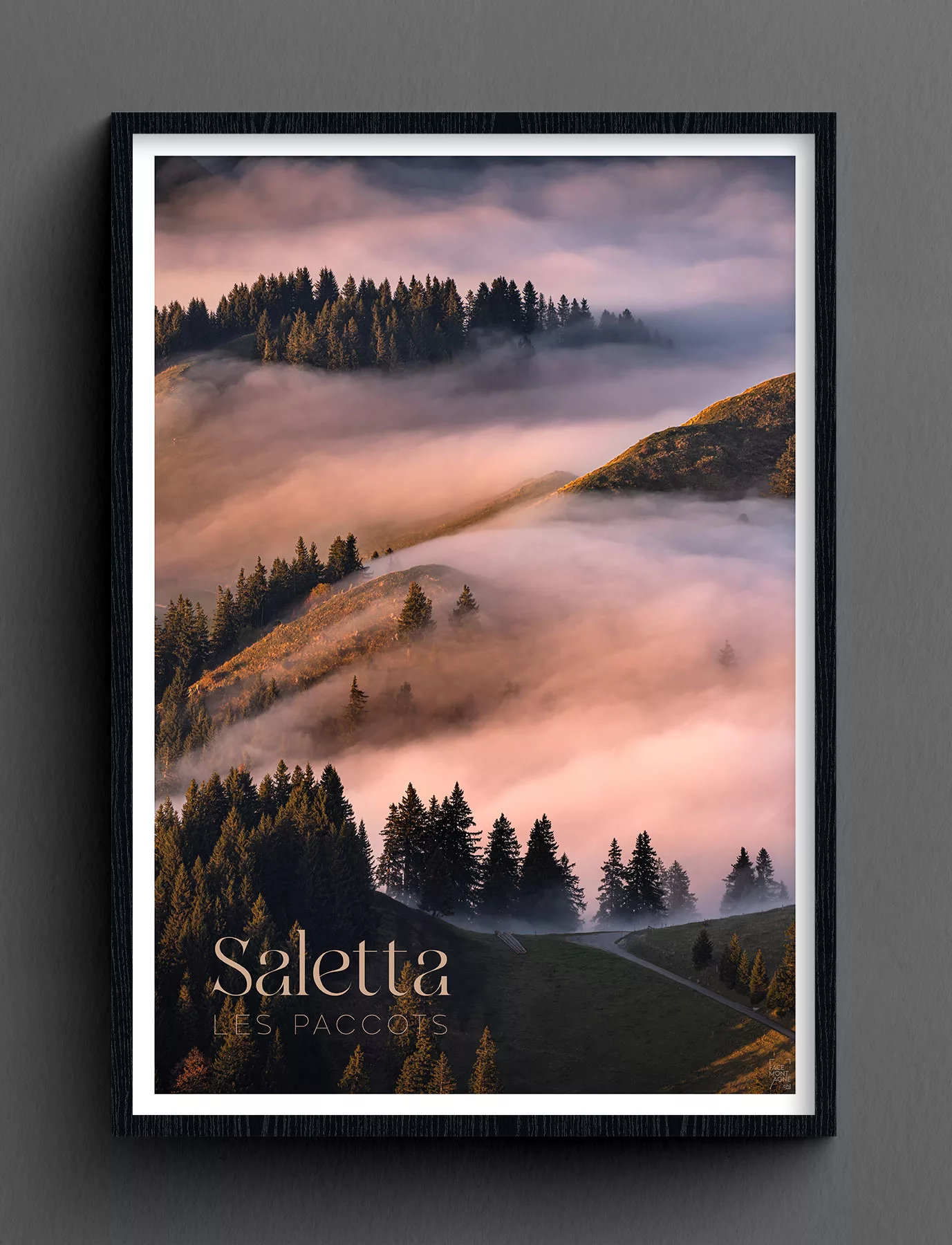 Face Montagne - Saletta, Les Paccots