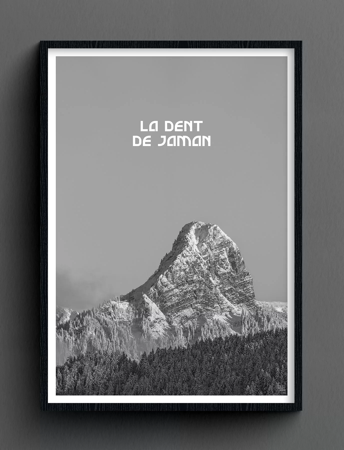 Face Montagne - La Dent de Jaman