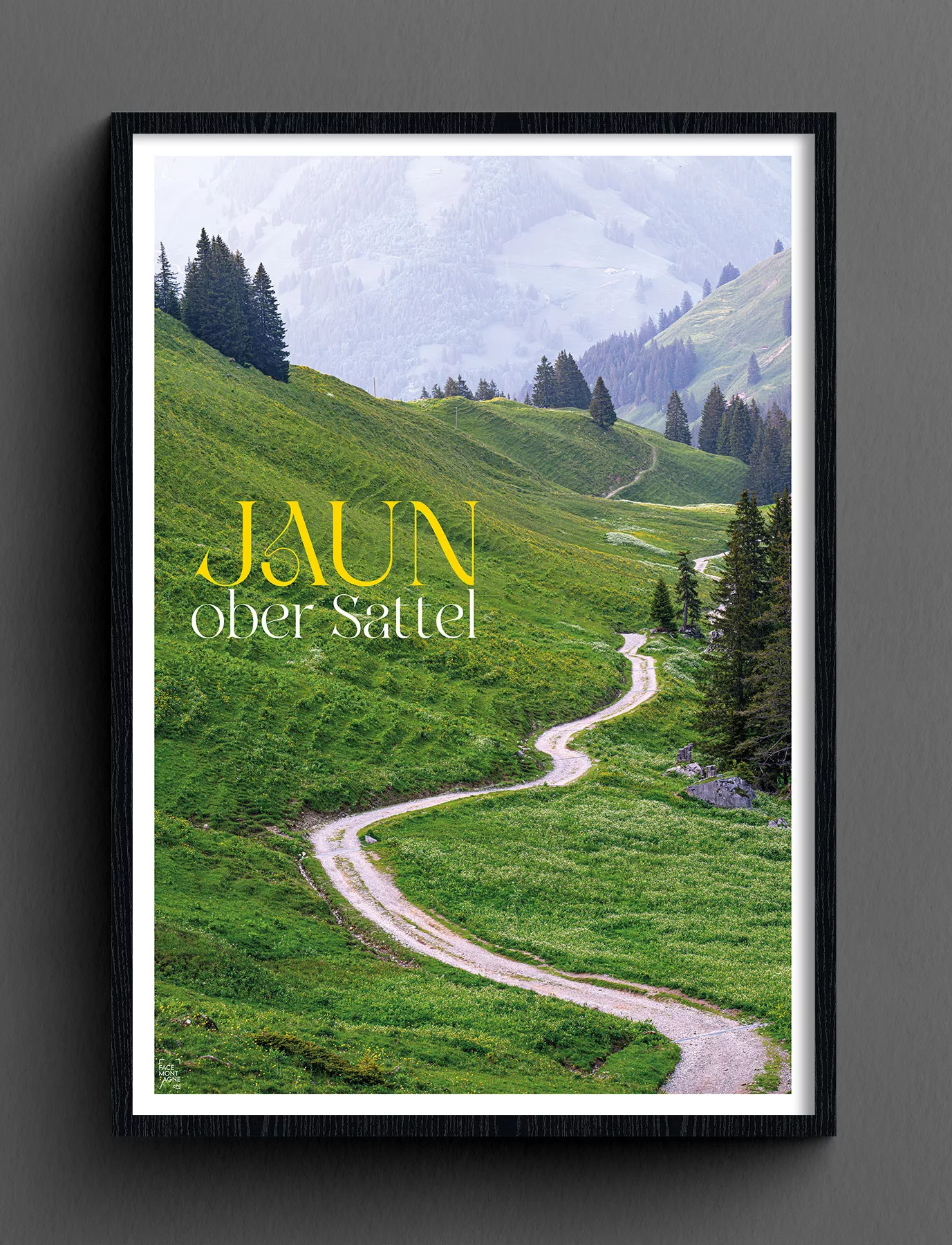 Face Montagne - Jaun, Ober Sattel