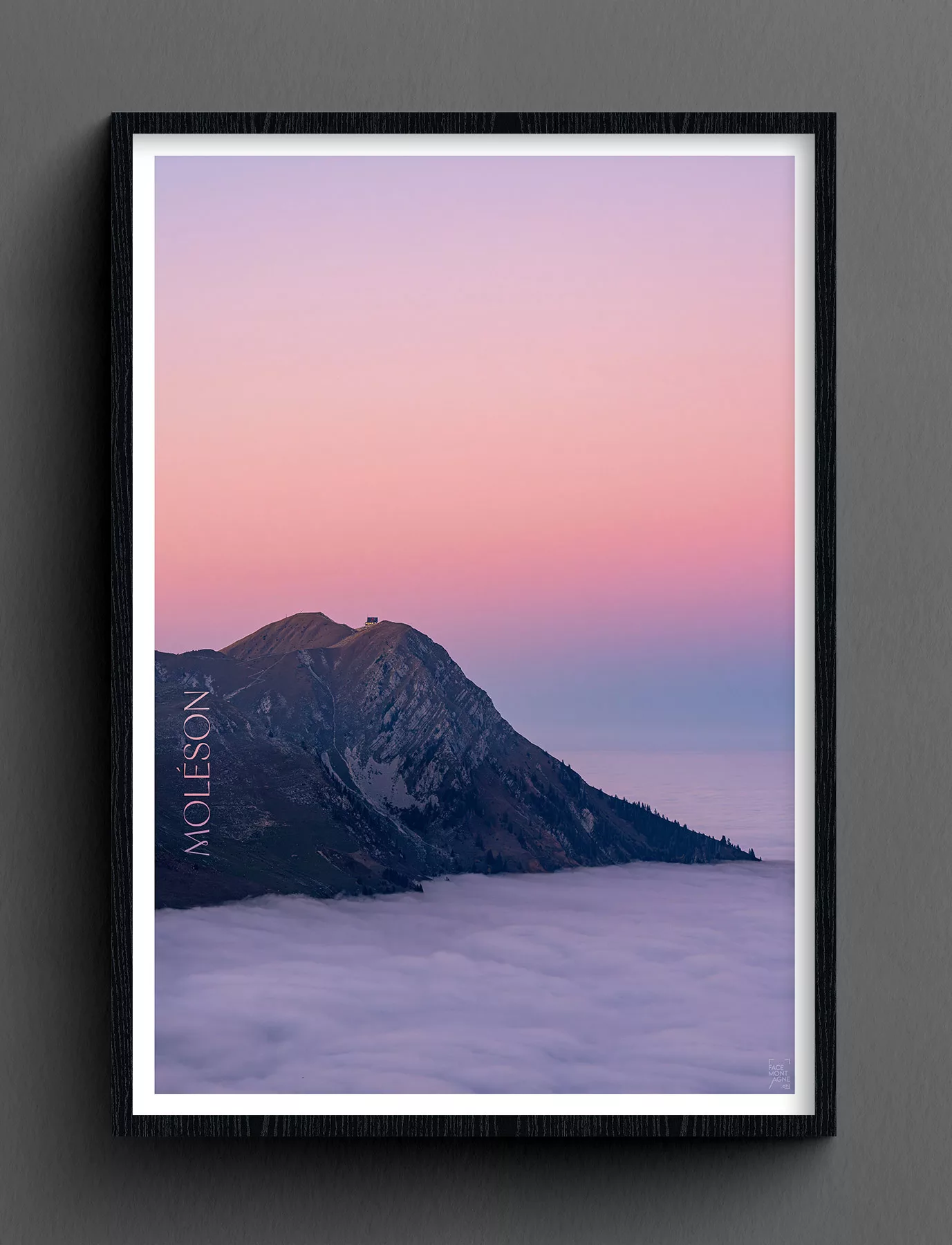 Face Montagne - Moléson