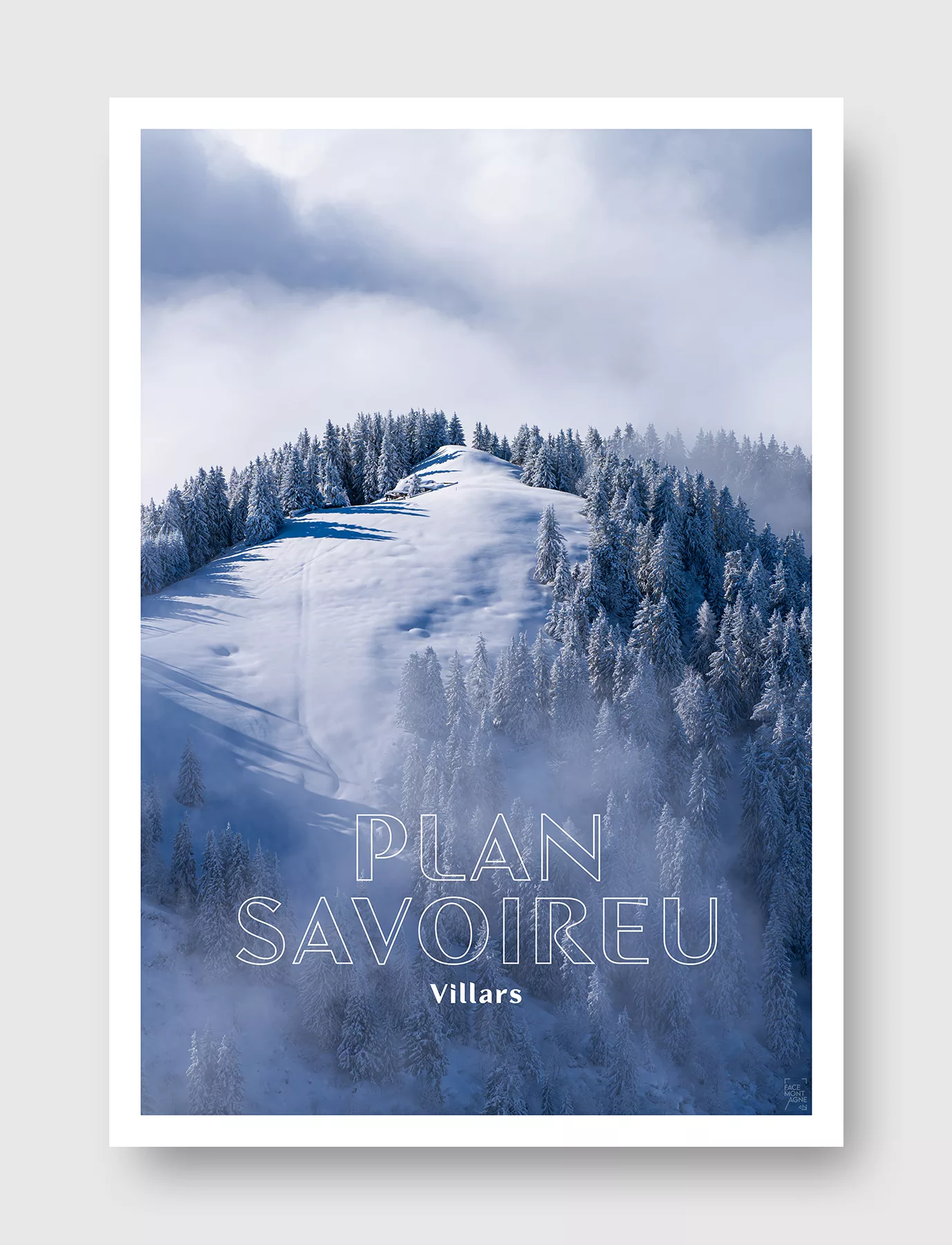 Face Montagne - Plan Savoireu - Villars