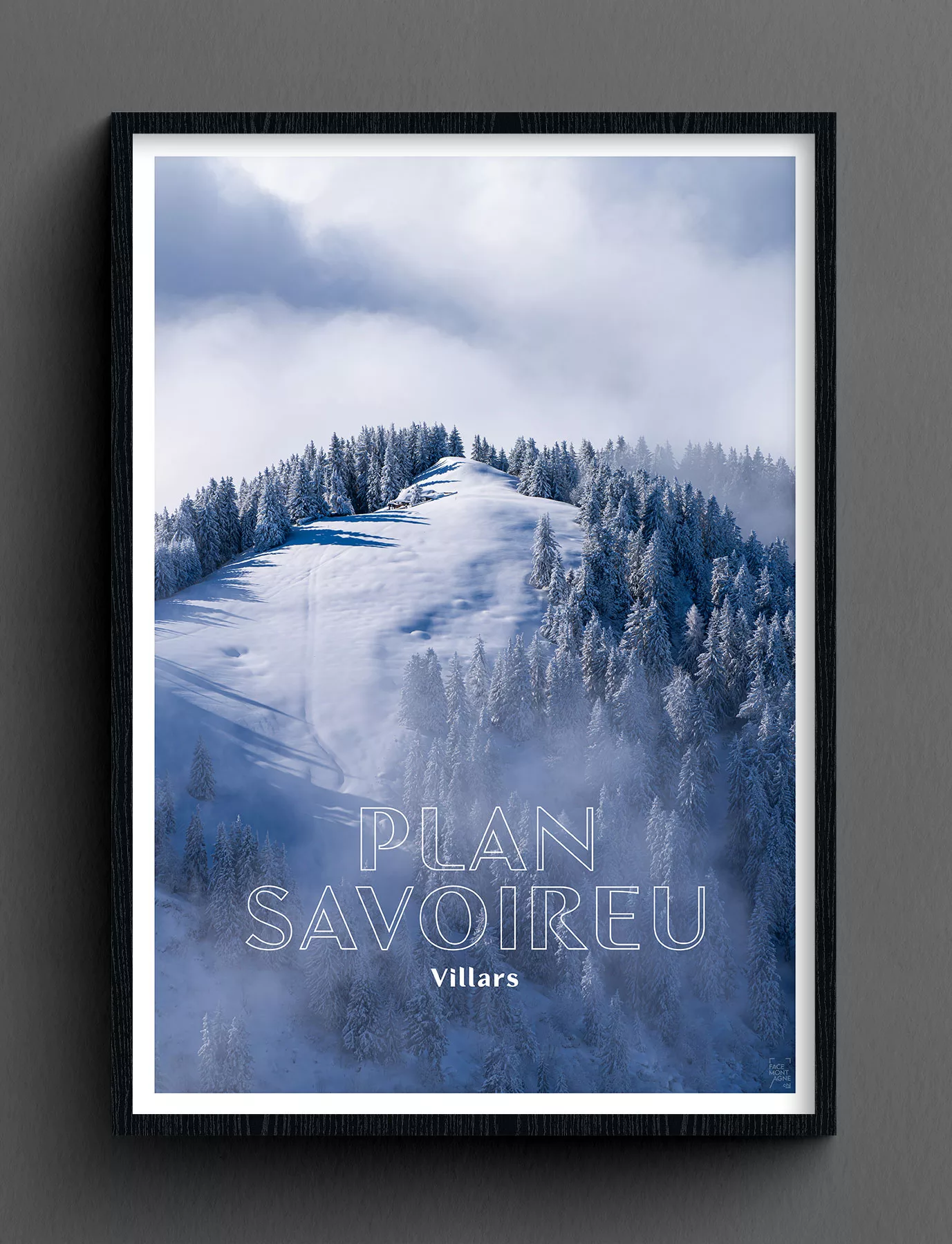 Face Montagne - Plan Savoireu - Villars