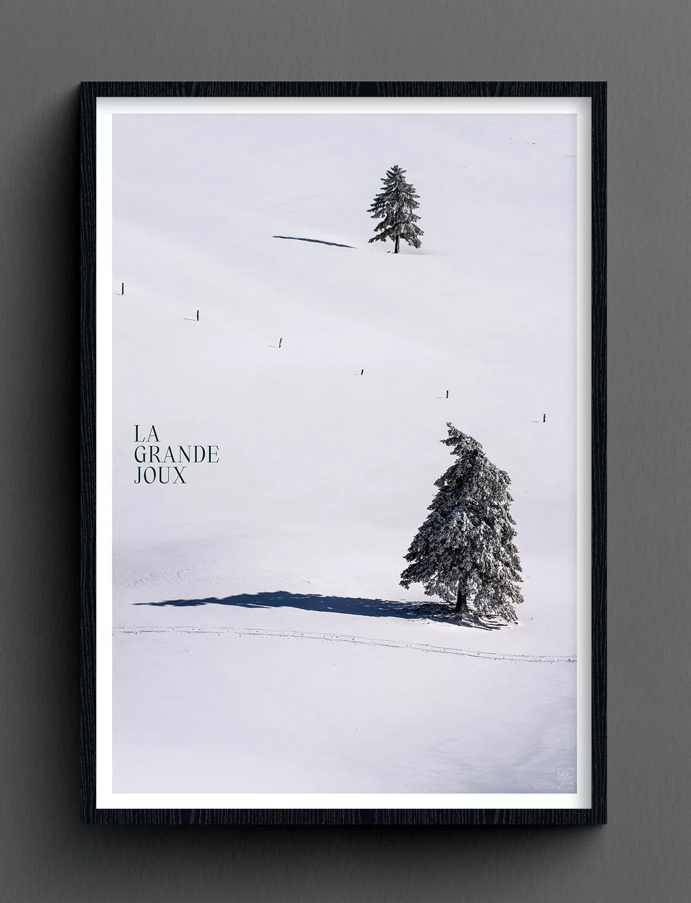 Face Montagne - La Grande Joux