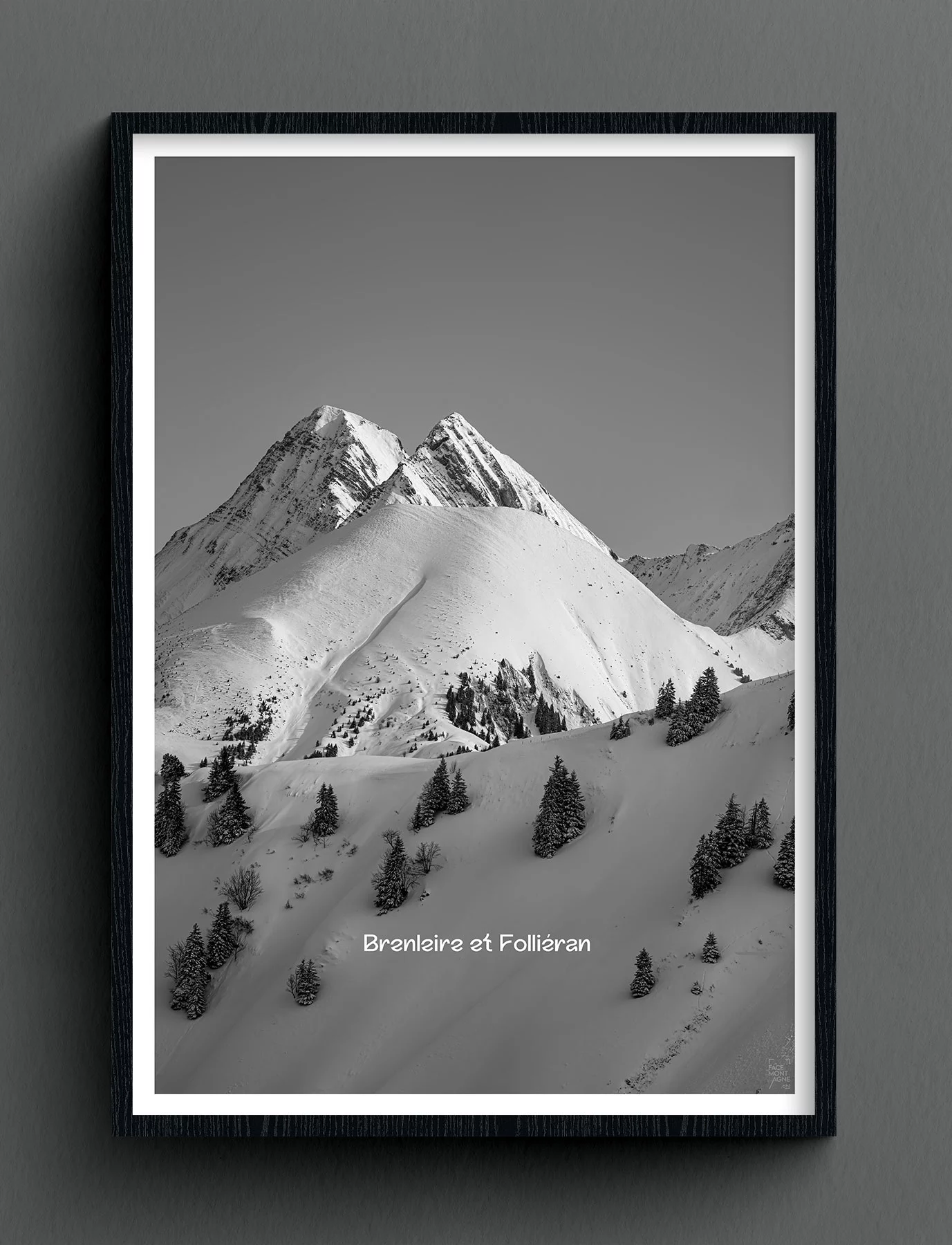 Face Montagne - Brenleire et Folliéran