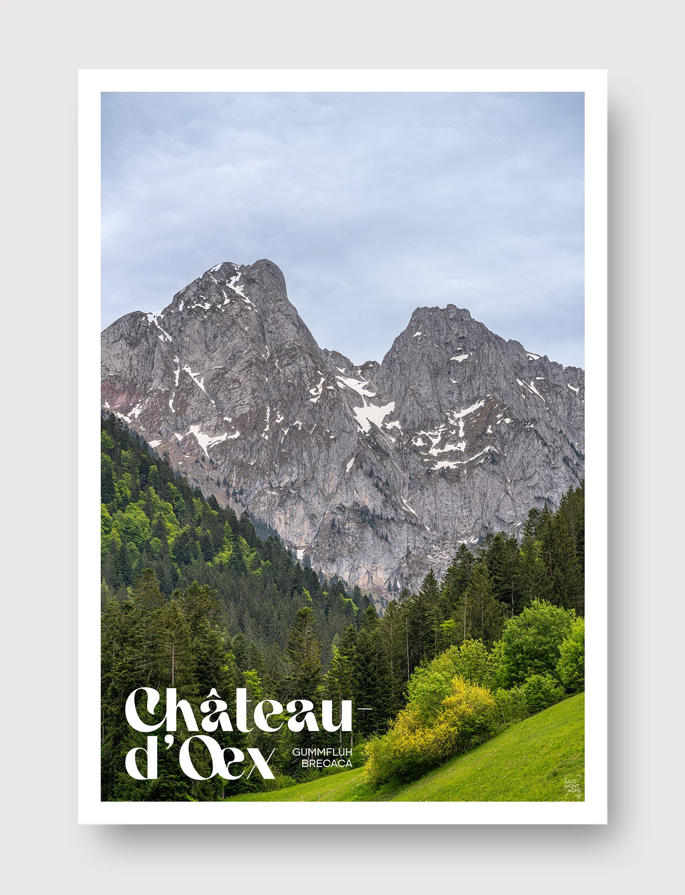 Face Montagne - Château d'Oex, Gummfluh et Brecaca