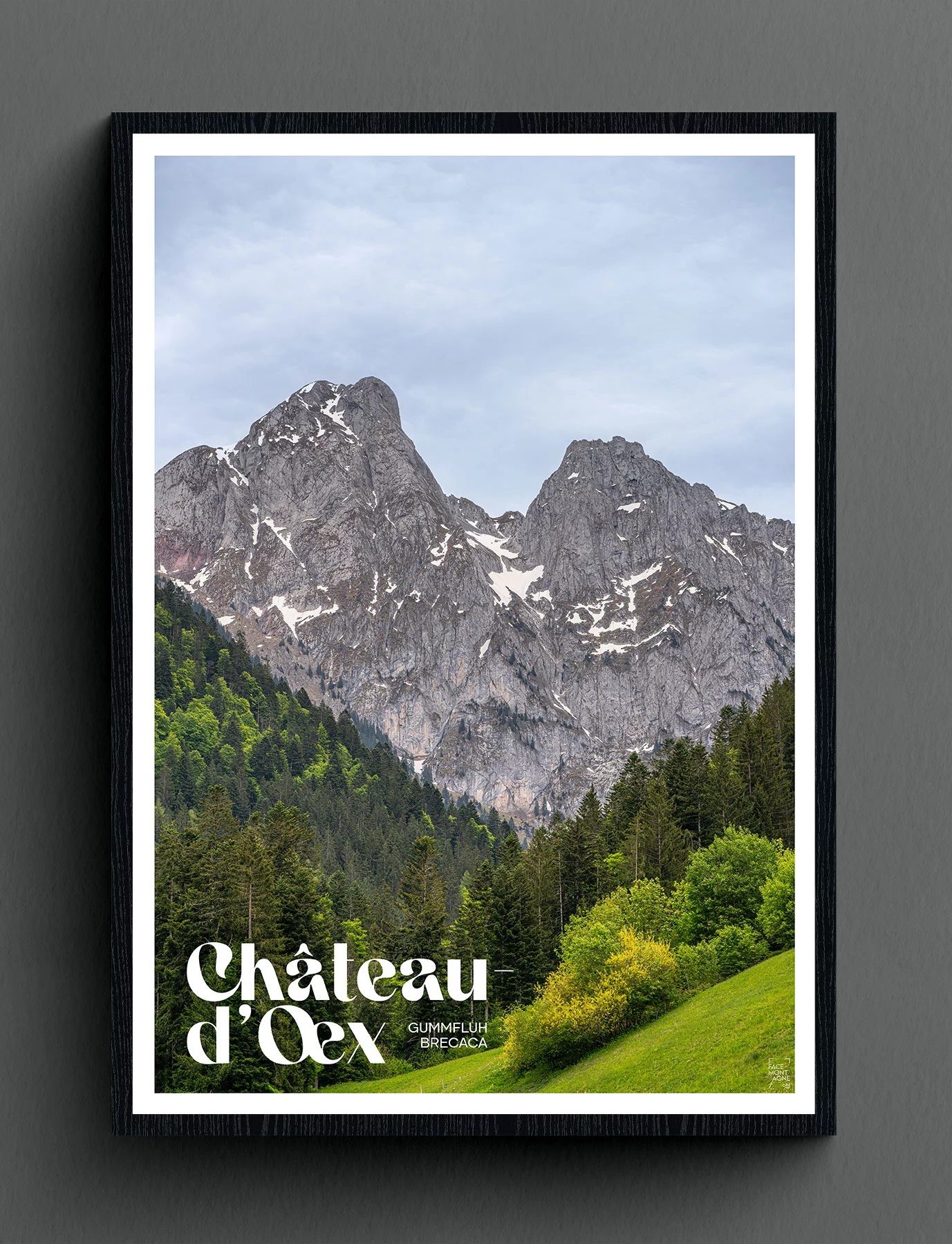 Face Montagne - Château d'Oex, Gummfluh et Brecaca