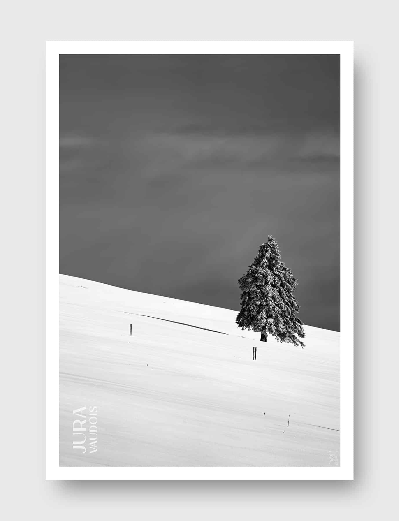 Face Montagne - Jura vaudois