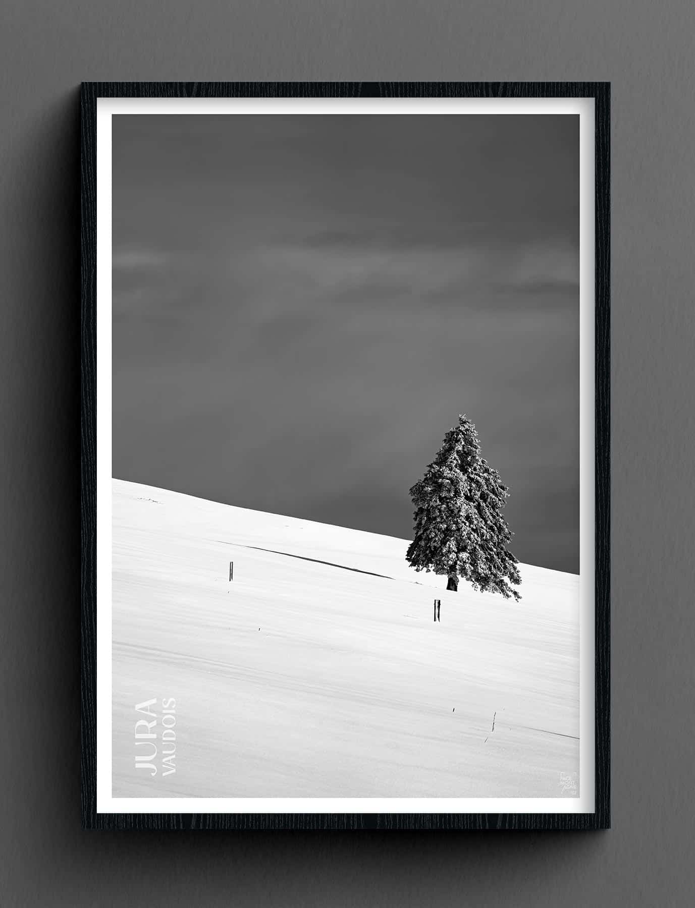 Face Montagne - Jura vaudois