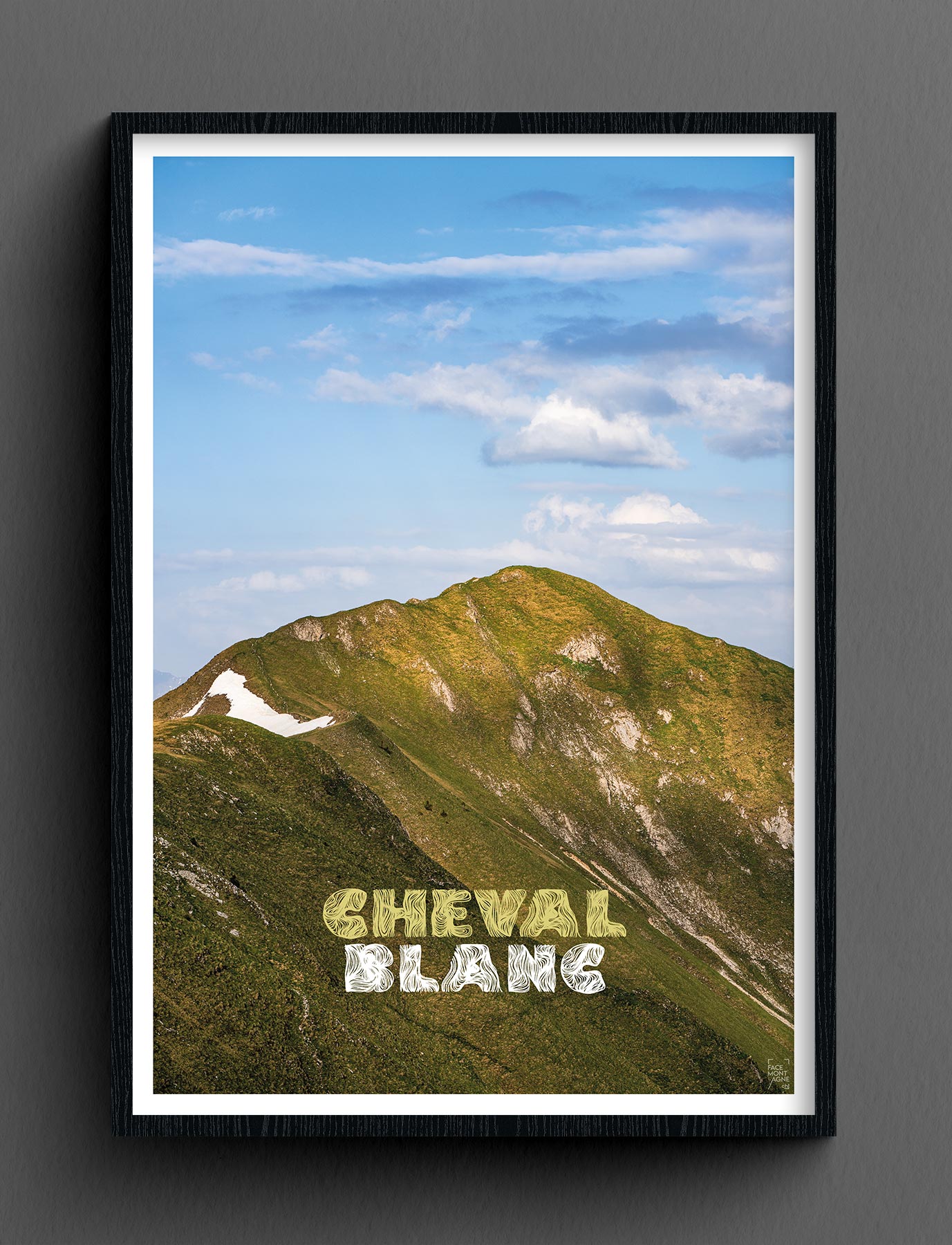 Face Montagne - Cheval Blanc
